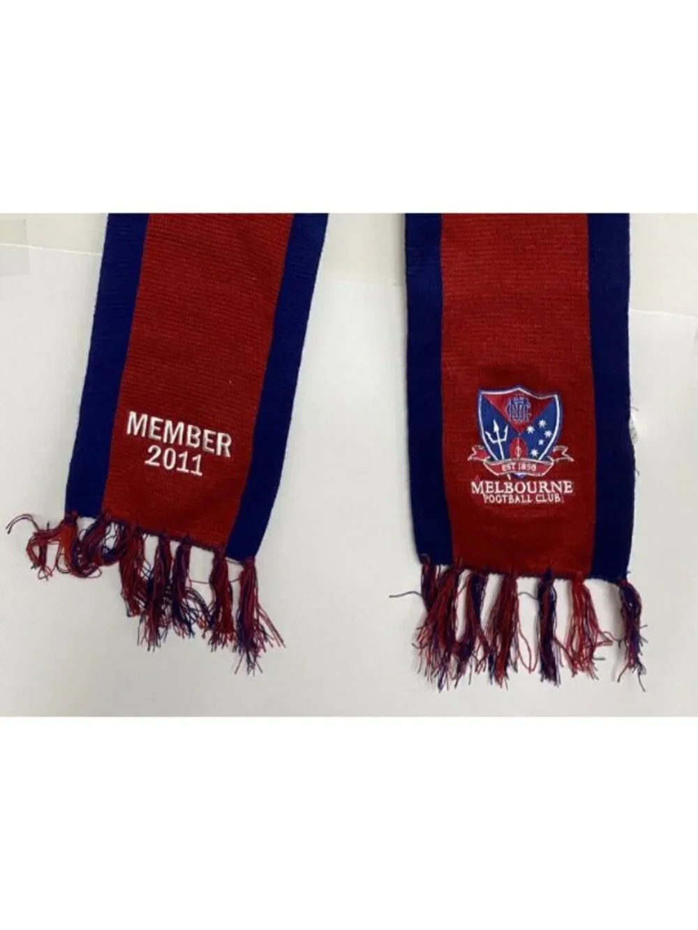 Melbourne Demons 2011 member